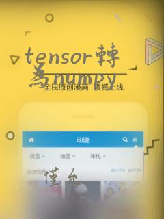 tensor转为numpy