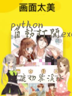 python 自动打开excel