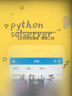 python sqlserver