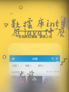 数据库int对应java什么类型