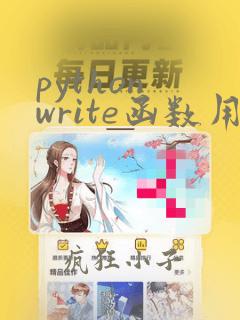 python write函数用法