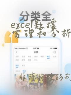 excel数据处理和分析