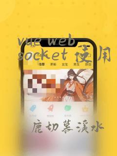 vue websocket 使用