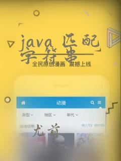 java 匹配字符串
