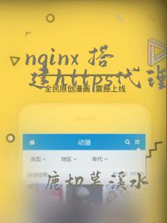 nginx 搭建https代理