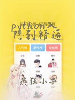 python入门到精通