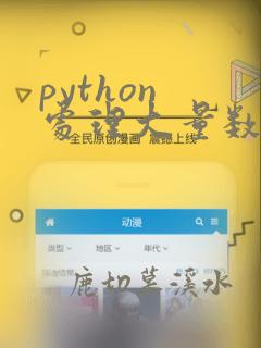 python 处理大量数据