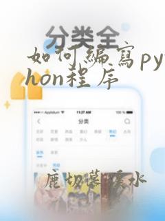 如何编写python程序