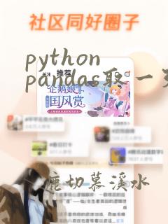 python pandas取一列数据