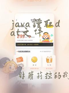 java读取dat文件