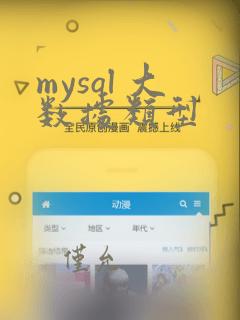 mysql 大数据类型