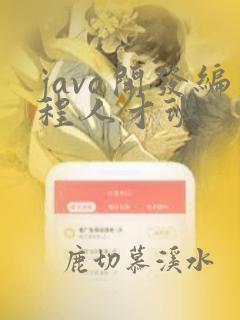 java开发编程人才班