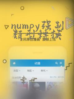 numpy强制类型转换