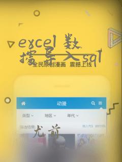 excel 数据导入sql