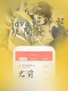 java软件系统开发