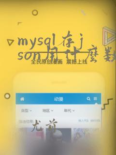 mysql存json用什么数据类型