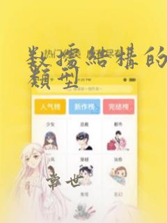 数据结构的基本类型