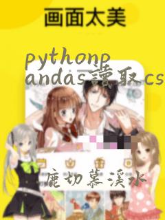 pythonpandas读取csv文件