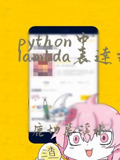 python中lambda表达式