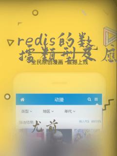 redis的数据类型及应用场景