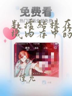 数据结构在计算机内存中的表示是指()
