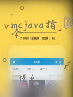 mcjava指令