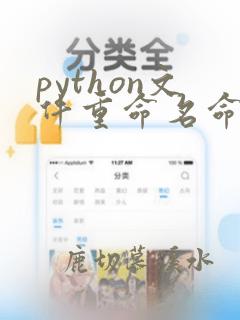 python文件重命名命令