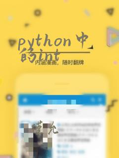 python中的int