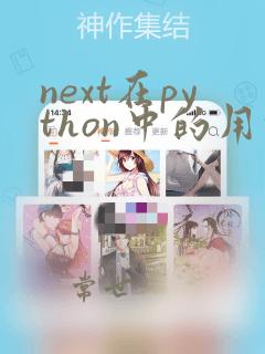 next在python中的用法