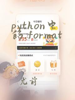 python中的.format