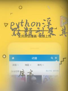 python浮点类型及其特点