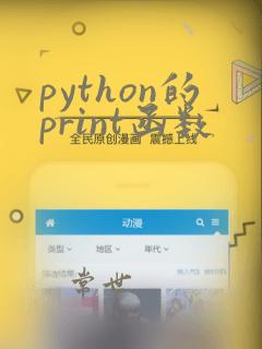 python的print函数