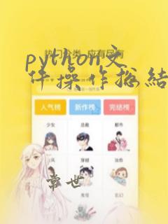 python文件操作总结