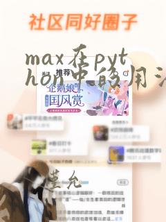 max在python中的用法