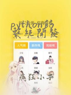 python的系统开发