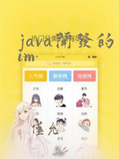 java开发的im