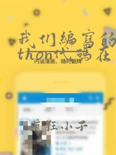 我们编写的python代码在运行过程中