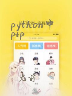 python中pip