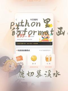 python里的format函数用法