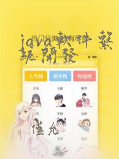 java软件系统开发