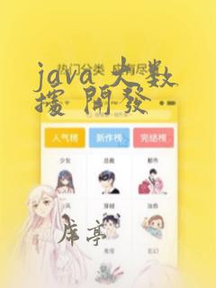 java 大数据 开发