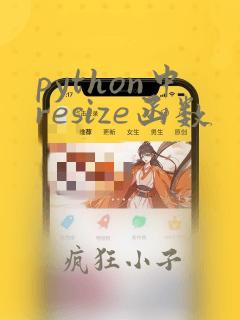 python中resize函数