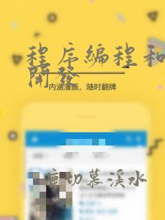 程序编程和软件开发