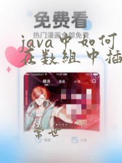 java中如何在数组中插一个数