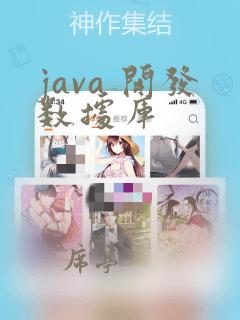 java 开发数据库