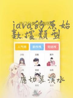 java的原始数据类型