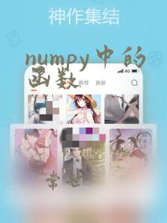 numpy中的函数