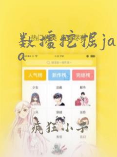数据挖掘java