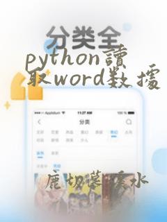 python读取word数据写入excel