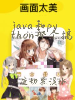 java和python哪个搞大数据好
